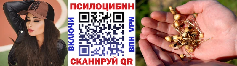 Псилоцибиновые грибы ЛСД  Купить закладки  Куйбышев 